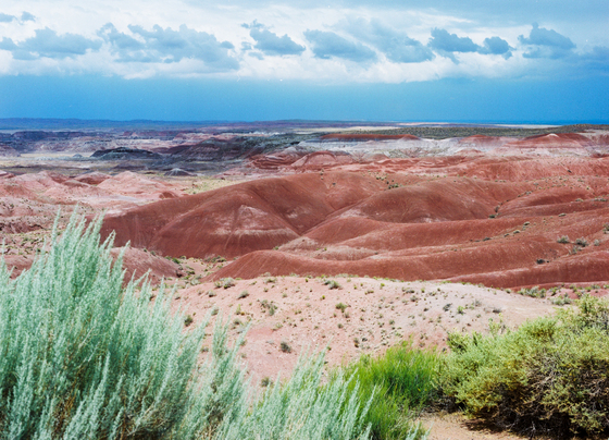 Petrified Forest National Park