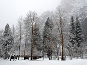 Yosemite National Park