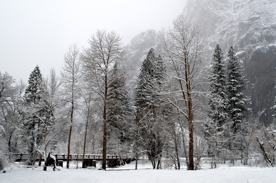 Yosemite National Park