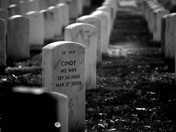 Arlington National Cemetery 