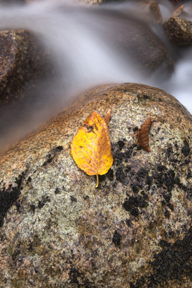 White Mountains National Forest