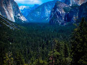 Yosemite National Park