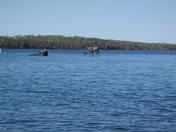 Isle Royale National Park