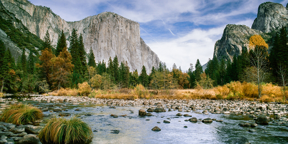 Yosemite National Park