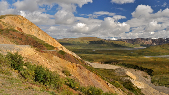 Denali National Park