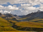 Denali National Park