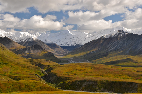 Denali National Park