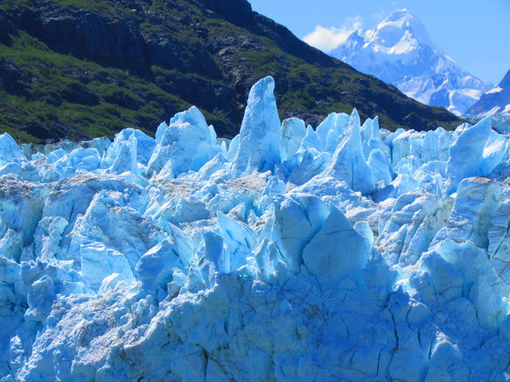 Glacier Bay Alaska