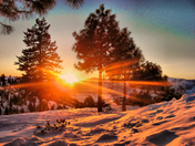 Wenatchee National Forest