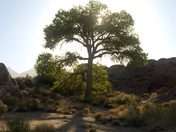 Alabama Hills