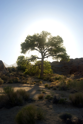 Alabama Hills