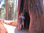Sequoia National Park