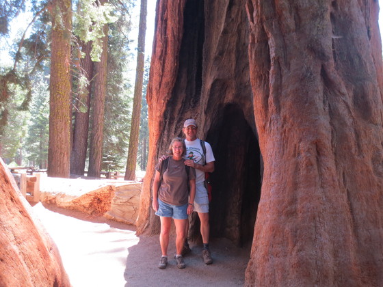 Sequoia National Park