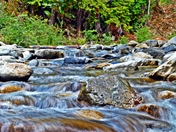 Ventana Wilderness