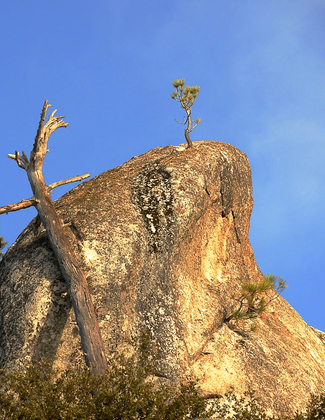 Sequoia National Park
