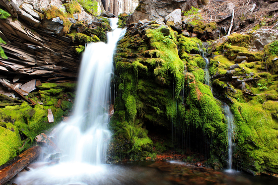 Mt. Hood National Forest