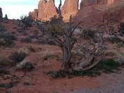 Arches National Park