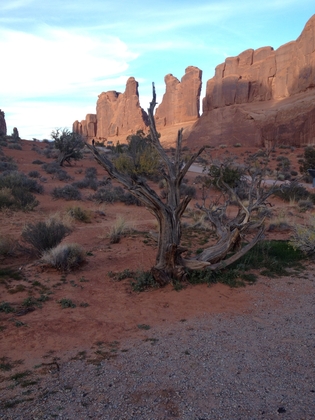 Arches National Park