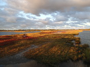 Assateaque National Seashore