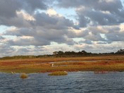 Assateaque National Seashore
