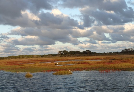 Assateaque National Seashore
