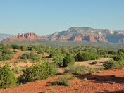 Coconino National Forest