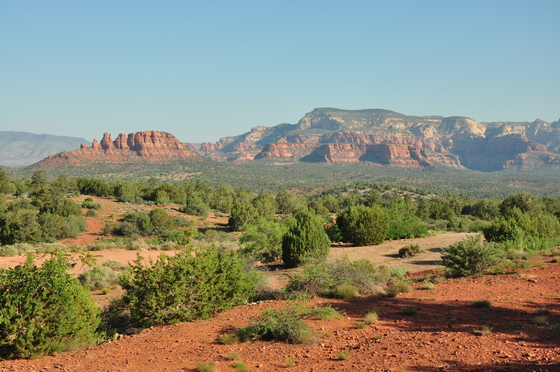 Coconino National Forest