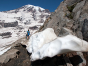 Mount Rainier National Park