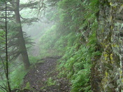 Smoky Mountain National Park