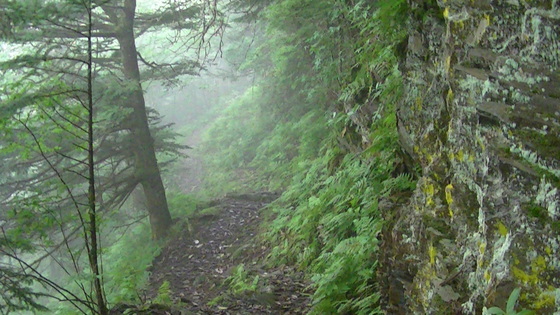 Smoky Mountain National Park