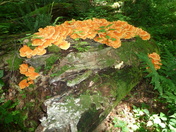 Smoky Mountains National Park