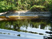 Florida Everglades National Park