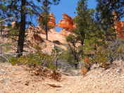 Bryce Canyon National Park