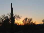BLM Quartzsite AZ area