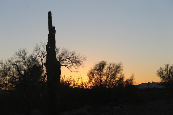 BLM Quartzsite AZ area