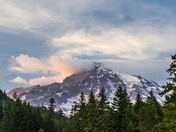 Mt. Rainier National Park