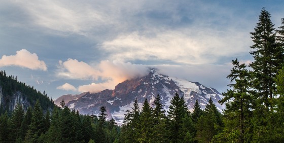 Mt. Rainier National Park
