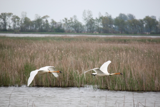 Ottawa National Wildlife Refuge