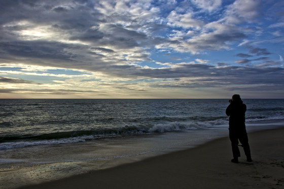 Assateague National Seashore