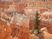 Bryce Canyon National Park