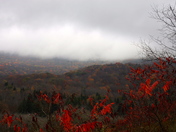 Monongahela national Forest