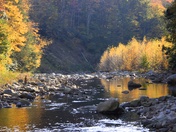 Monongahela national Forest