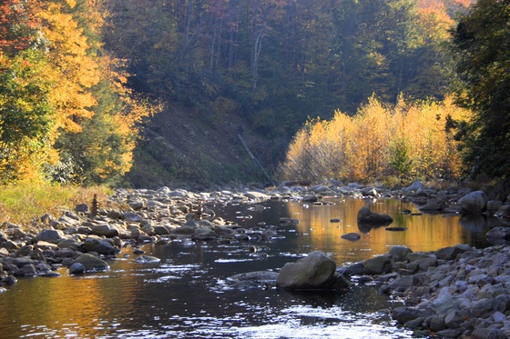 Monongahela national Forest