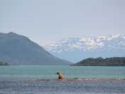 Katmai National Park and Preserve