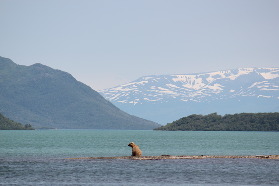 Katmai National Park and Preserve