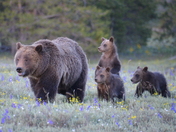 Grand Teton National Park
