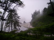Olympic NP