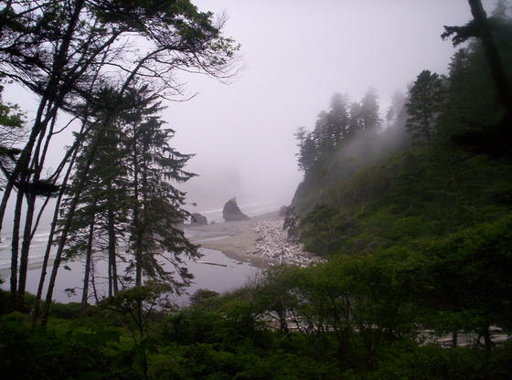 Olympic NP