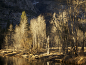 Yosemite National Park