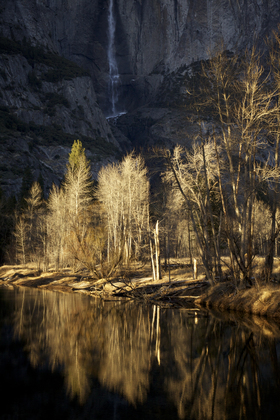 Yosemite National Park